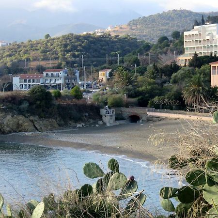 Апартаменты Les Pieds Dans L'Eau Баньюль-сюр-Мер Экстерьер фото